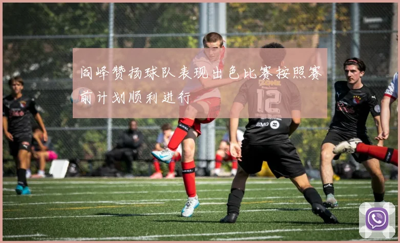 阎峰赞扬球队表现出色比赛按照赛前计划顺利进行