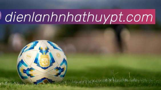 完美体育官方首页APP 封面图